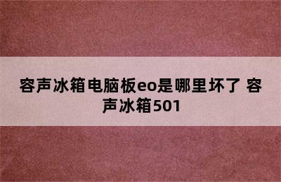 容声冰箱电脑板eo是哪里坏了 容声冰箱501